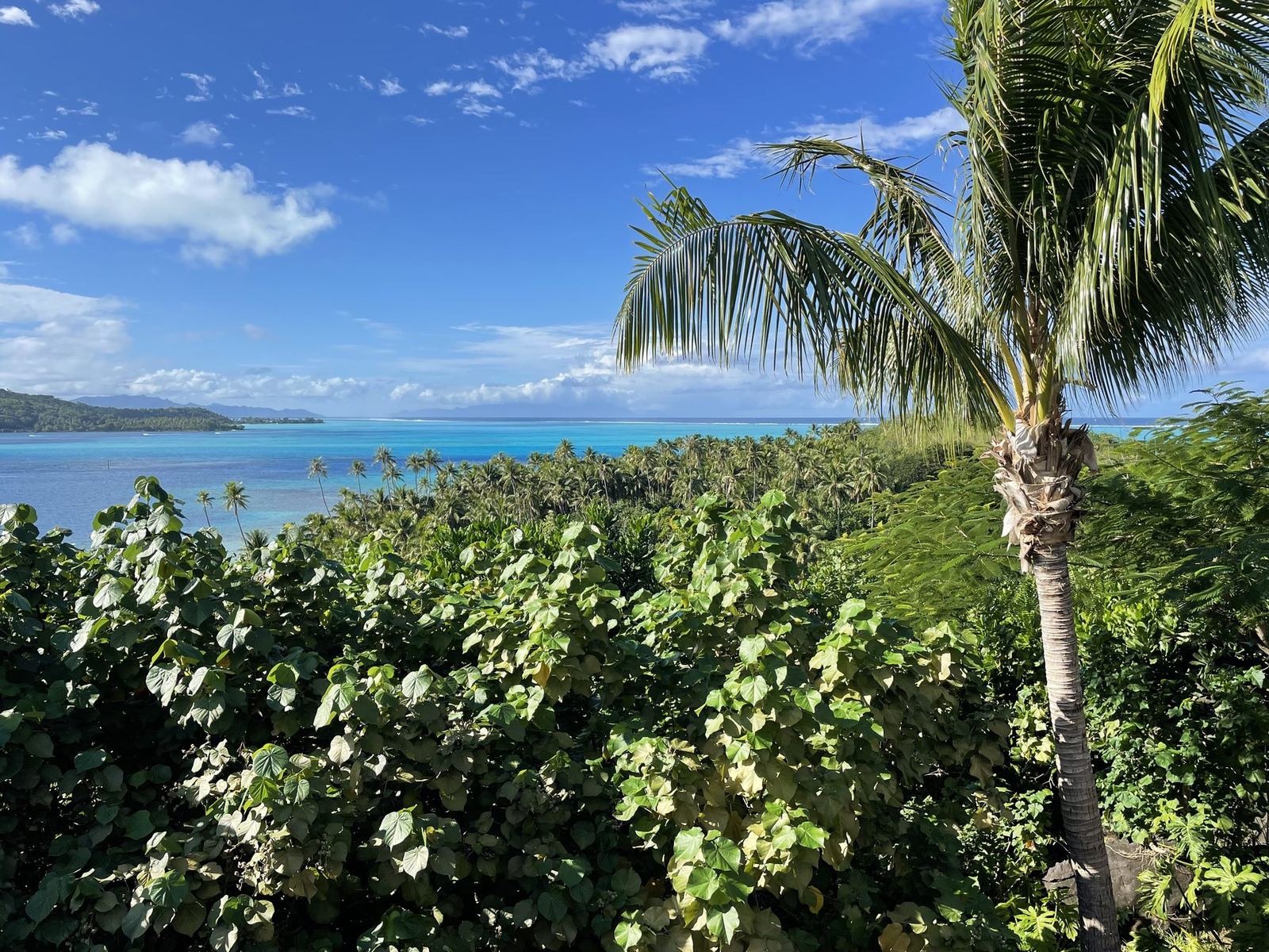 Bora Bora & Tahiti