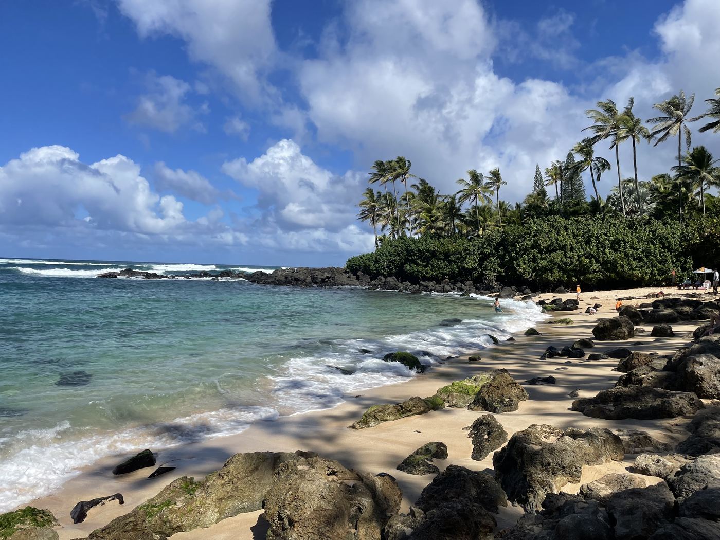Hawaii — when cash wins.